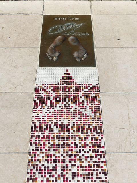 未来的发展